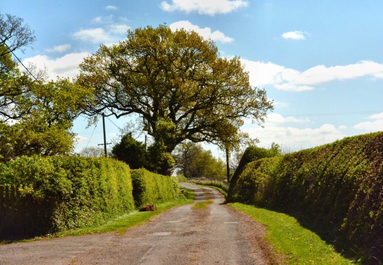 Private lane